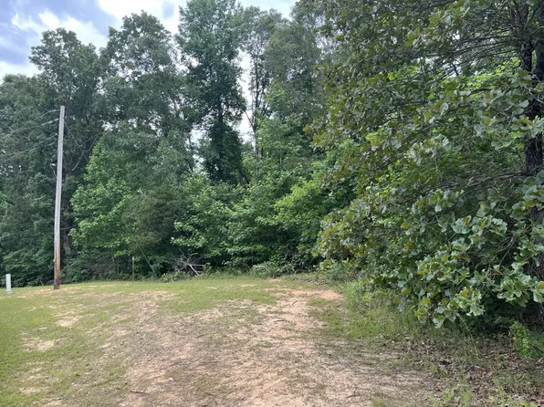 102 Snap Bean Ln Lot 37, Cedar Grove, TN 38321