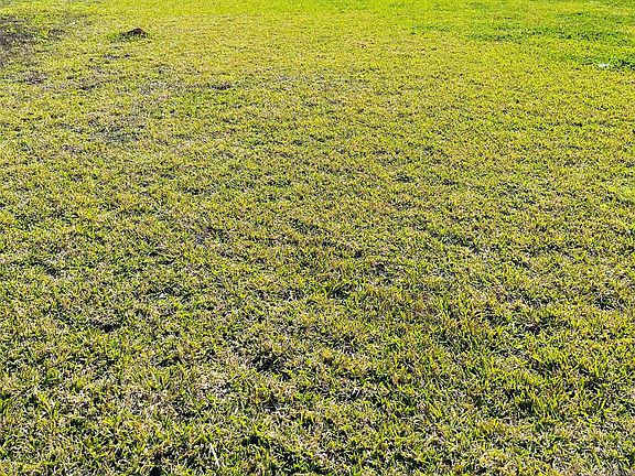 3rd image of 235 Leeward Way Lot 9