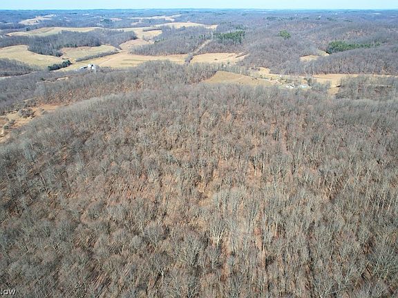 2nd image of Wolf Rd SW