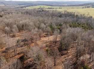 406 Horner Drive, Bradleyville, MO 65614