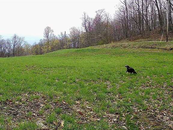 5th image of 0 Sealover Hollow Rd