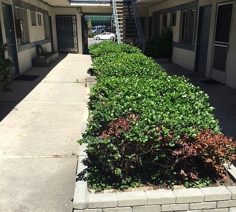 5th image of 3222 Santa Monica Blvd APT 17