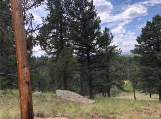 135 Junction Circle Colo Mountain Est #L1117-9, Florissant, CO 80816