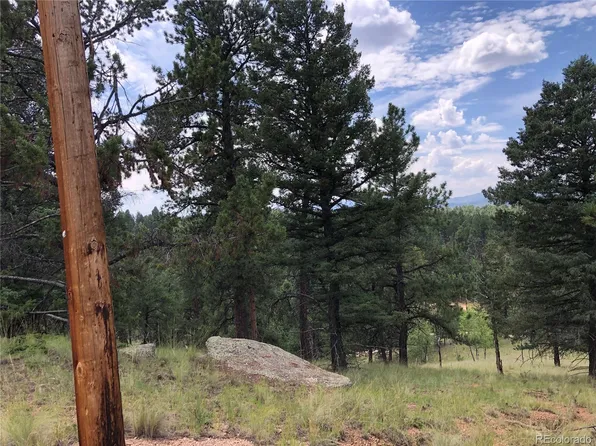 135 Junction Circle LOT L1117 COLO MTN EST 9, Florissant, CO 80816