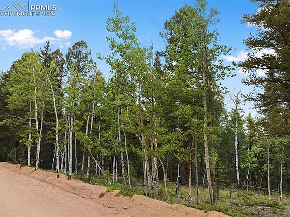 5th image of 810 Ridge Rd