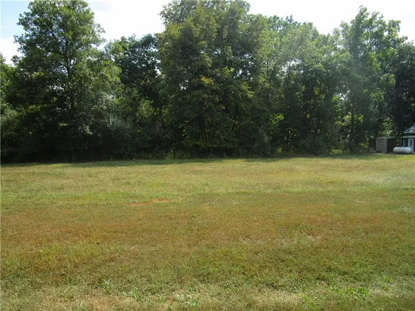 156 & 157 Beyers Lake Est, Pana, IL 62557