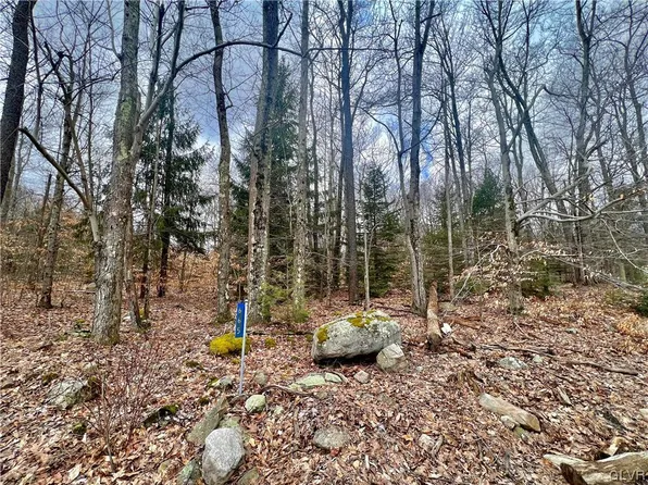 665 Route 447, Canadensis, PA 18325