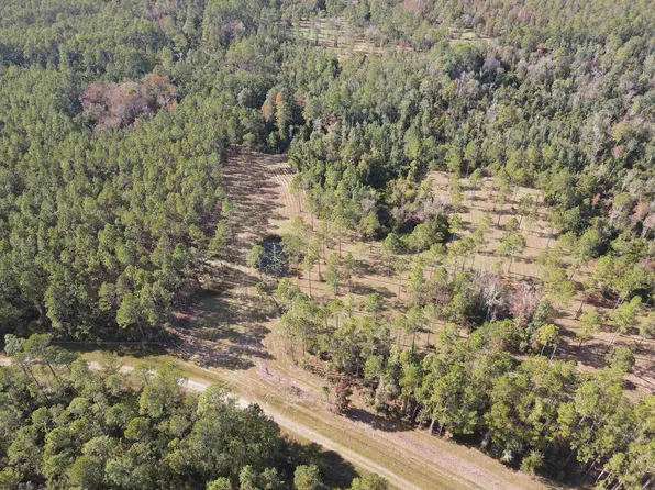 0 SW Pacific Dr, Greenville, FL 32331