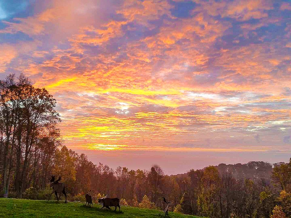 Sunrise View from Your Bed
