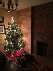 504 Lockhart St, Pittsburgh, PA, 15212