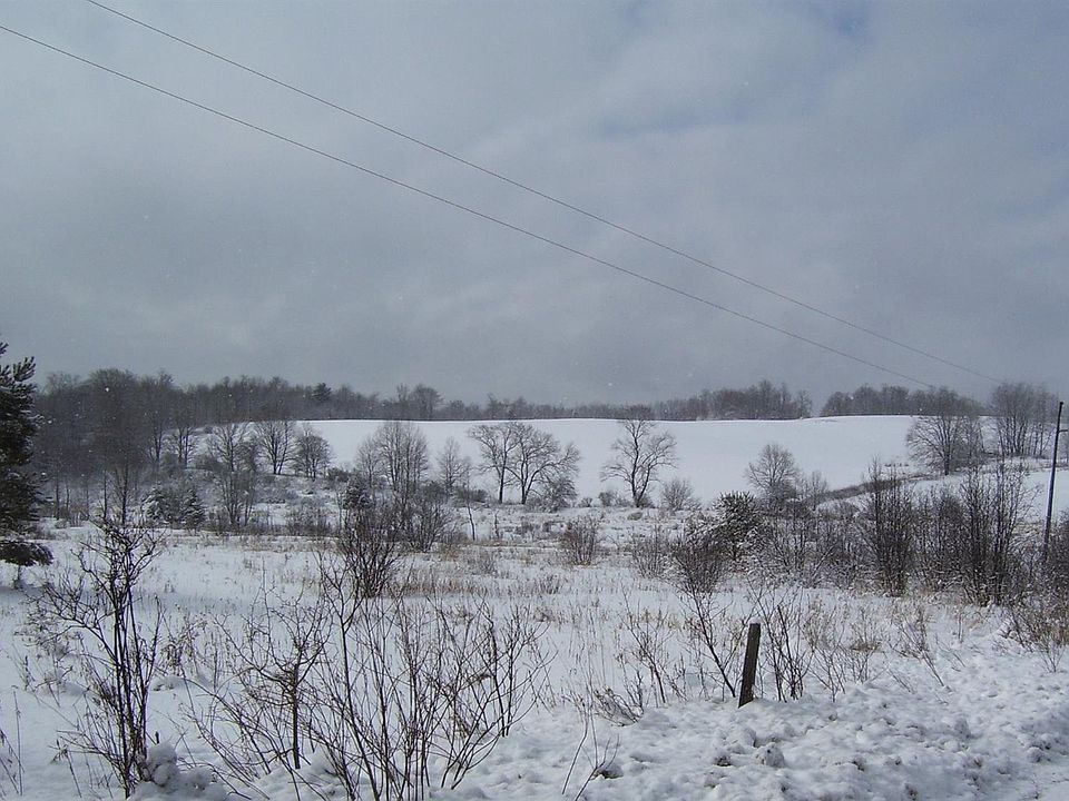 2nd image of Birdlebough Strong Rd