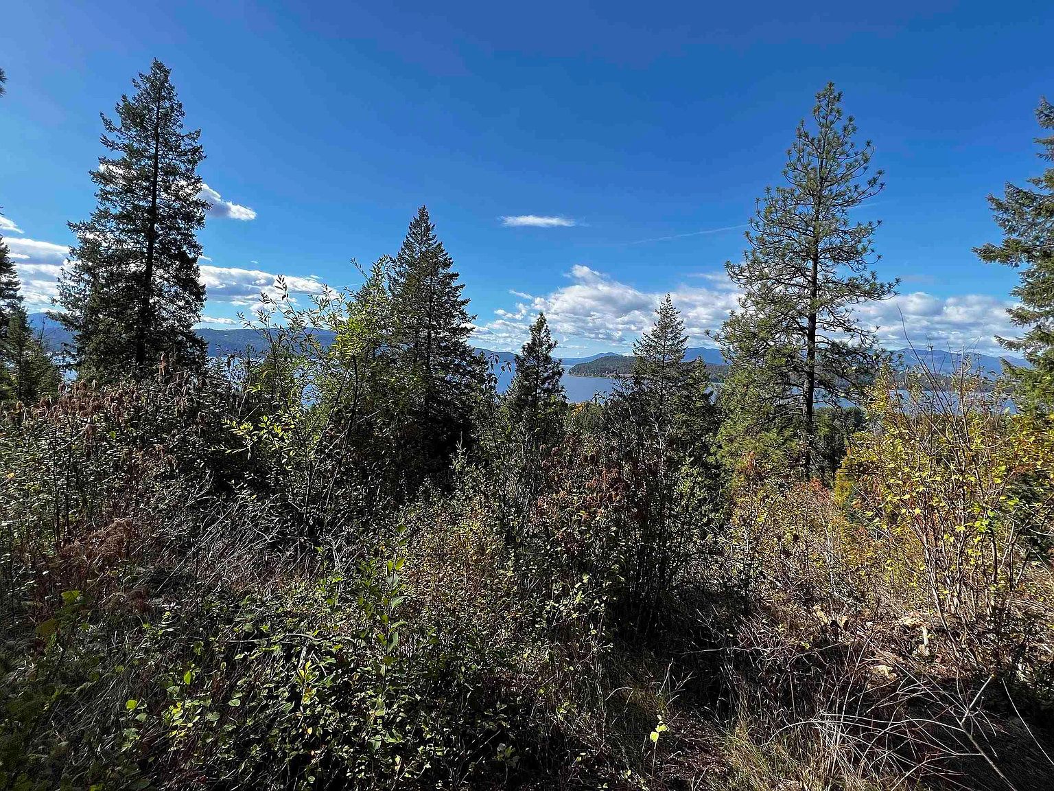 163 Creekside Ln, Hope, ID 83836 MLS 20231659 Zillow