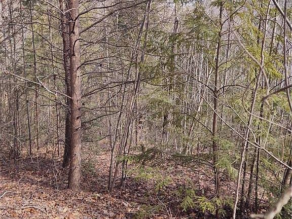 3rd image of 2 Riverview Forest Dr #2