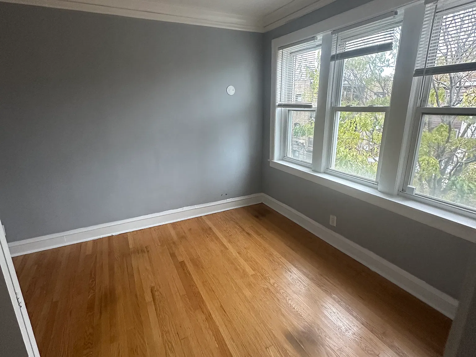 2 bed, 1000 sqft, $1,375 — Photo 2