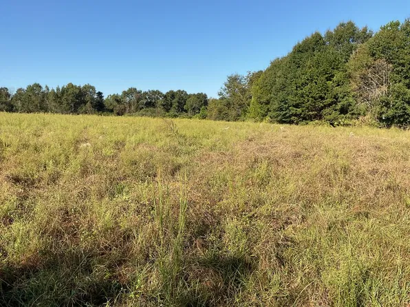 34400 Rose Hill Rd, Dozier, AL 36028