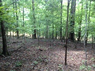 3rd image of Cedar Shoals Way