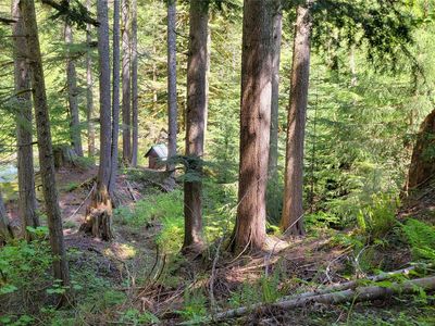 87003 NE 122nd, Skykomish, WA, 98288
