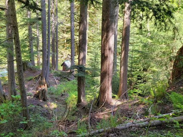 87003 NE 122nd, Skykomish, WA 98288
