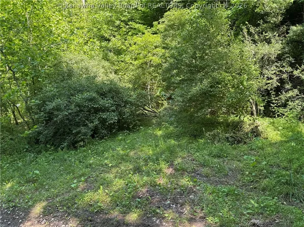 1492 Big Creek Rd, Chapmanville, WV 25508