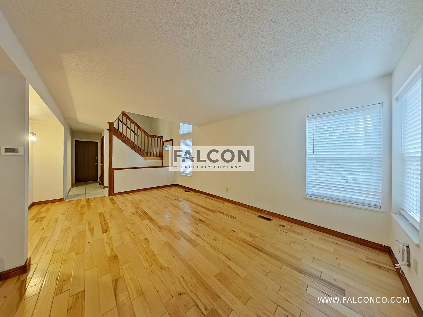 One-Of-A-Kind Home In Vista Grande! — Photo 3