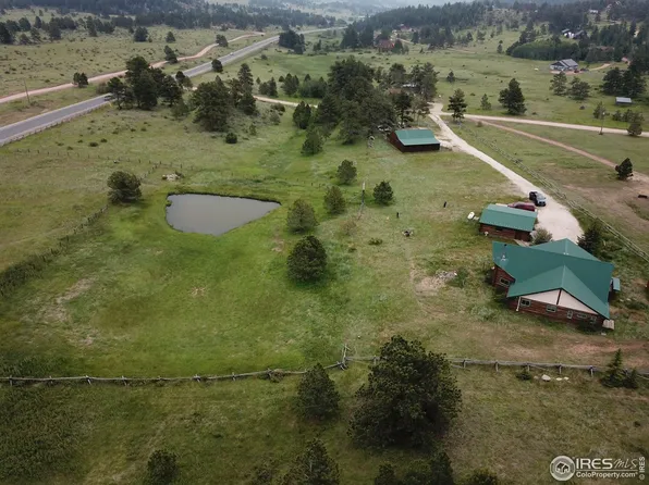 1317 Iron Mountain Dr, Livermore, CO 80536