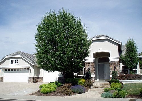 2nd image of 5140 Buckboard Way