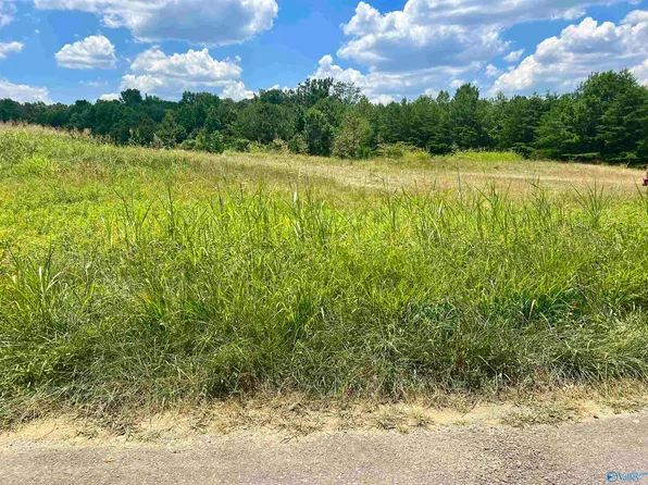 3AC Gray Rd, Mentone, AL 35984