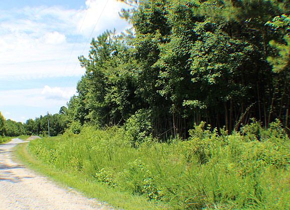 3rd image of Lot 1-C Lot Credle Drive