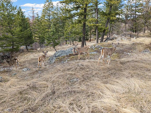 5th image of 87 Rock Ridge Way