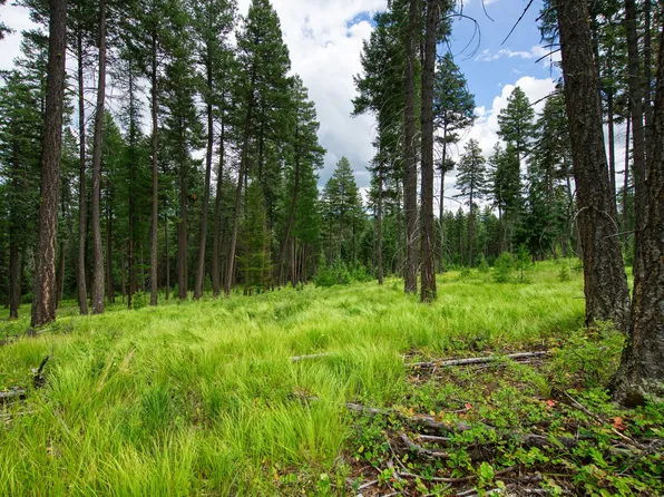 185 Rosewood Ln Lot 14, Whitefish, MT 59937
