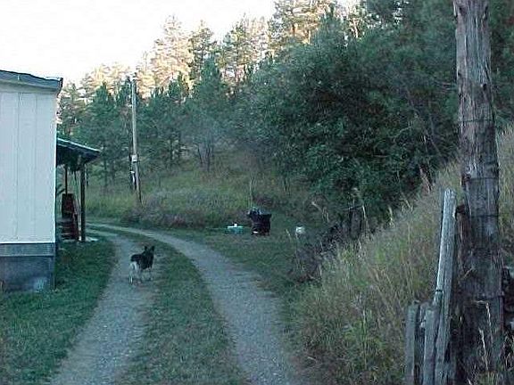 2nd image of 4416 Wild Bill Hickock Dr