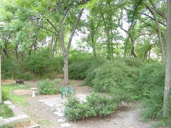 Lower Level yard