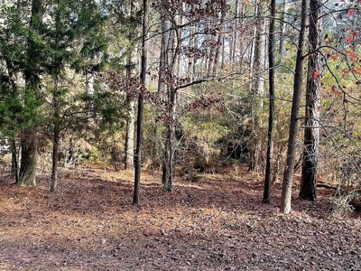 LOT 502 Driftwood Dr, Greenbackville, VA, 23356