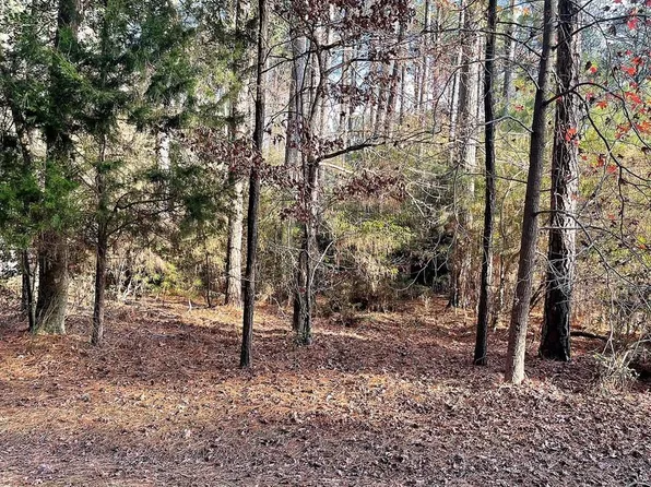 LOT 502 Driftwood Dr, Greenbackville, VA 23356