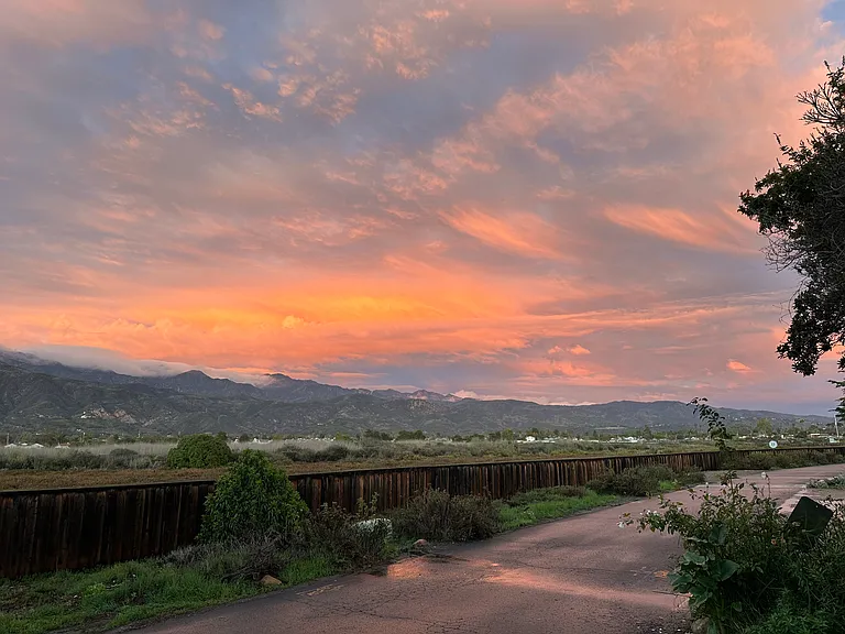 View from driveway entrance towards Estuary and mountains.