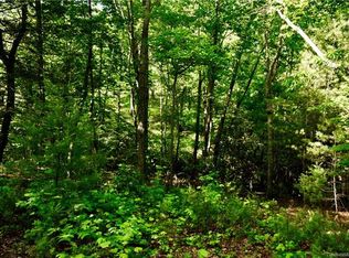 118 Powder Creek Trl, Arden, NC 28704