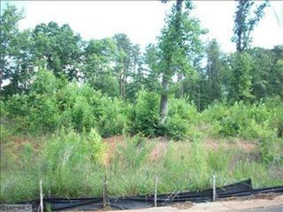 6589 Fieldmont Manor Dr, Tobaccoville, NC, 27050
