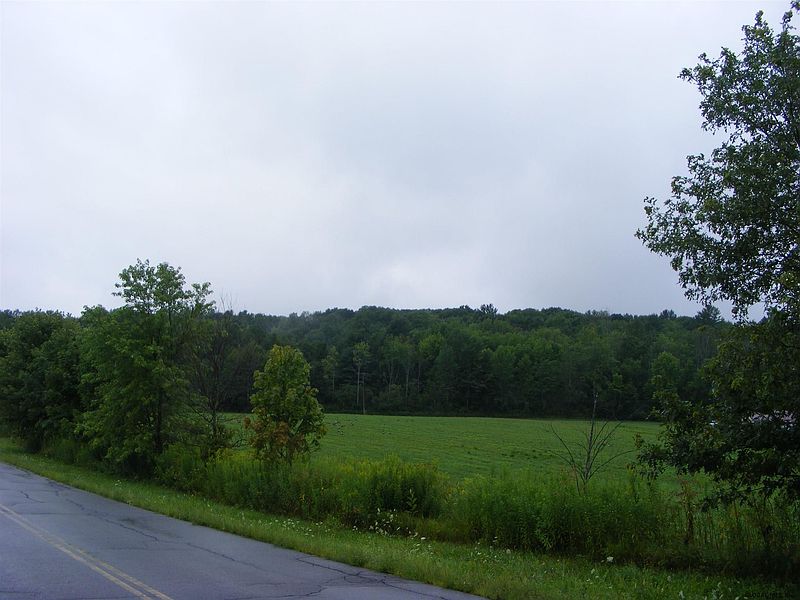 4th image of CHRISTIE Road