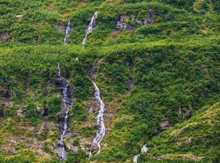 Nhn L2 B9 Chilkat Lake, Haines, AK 99827