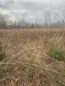 Xx Willow Ln, Bogue Chitto, MS, 39629