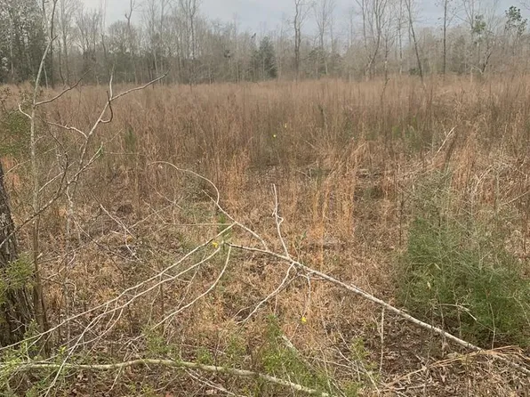 Xx Willow Ln, Bogue Chitto, MS 39629