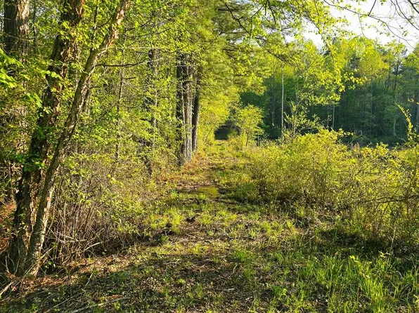 16 Tax Is #2-B-94A, Ruther Glen, VA 22546