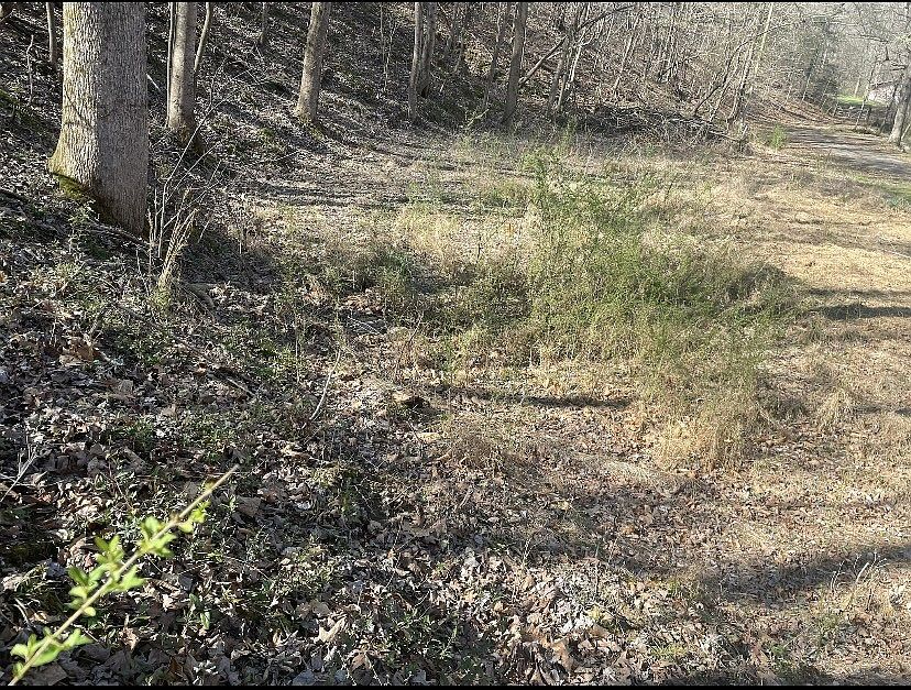 2nd image of 1195 Blaylock Rd