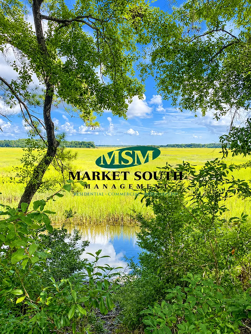 Stunning Marsh View — Photo 2