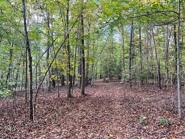 Trails cut in throughout the property
