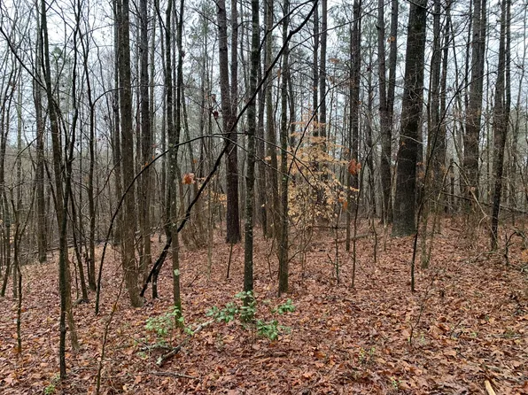 0 Bishop Rd Lot 3, Middleton, TN 38052