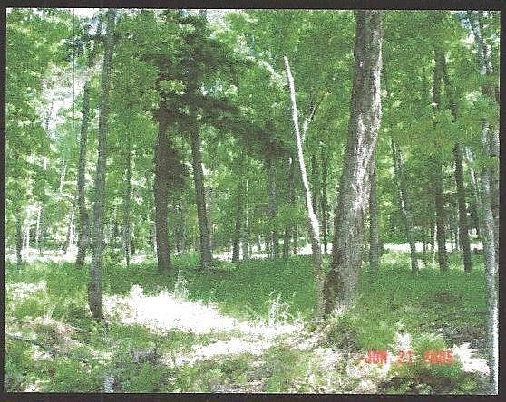 1st image of Pcl 26 Little Smoky Lake Dr