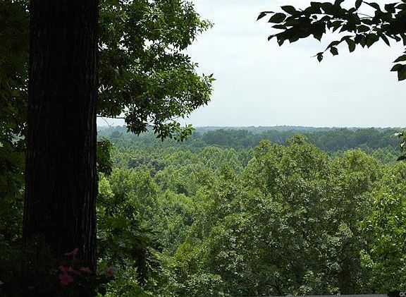 4th image of 664 River Bluff Dr
