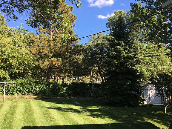 backyard 1