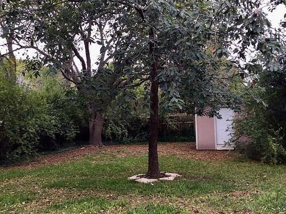 5th image of 1301 Warbler Dr